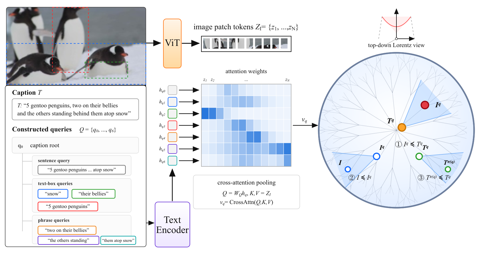 Detailed Hyper3-CLIP pipeline showing penguin image patches, constructed queries, cross-attention pooling, and entailment relations in Lorentz space